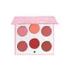 PALETA DE RUBORES | CHARM YOUR CHEEKS MINI MIX - OFRA COSMETICS