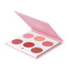 PALETA DE RUBORES | CHARM YOUR CHEEKS MINI MIX - OFRA COSMETICS