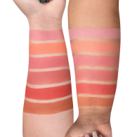 PALETA DE RUBORES | CHARM YOUR CHEEKS MINI MIX - OFRA COSMETICS